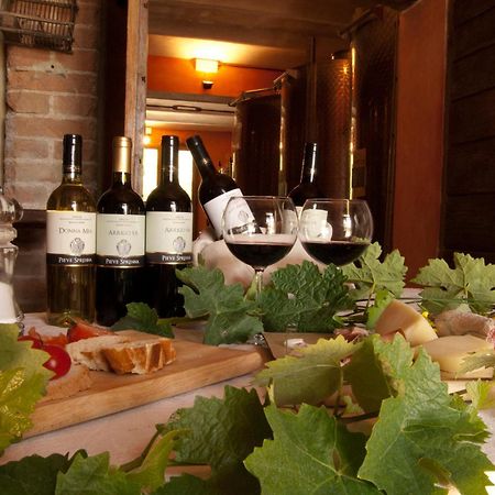 Agriturismo Pieve Sprenna Buonconvento Dış mekan fotoğraf
