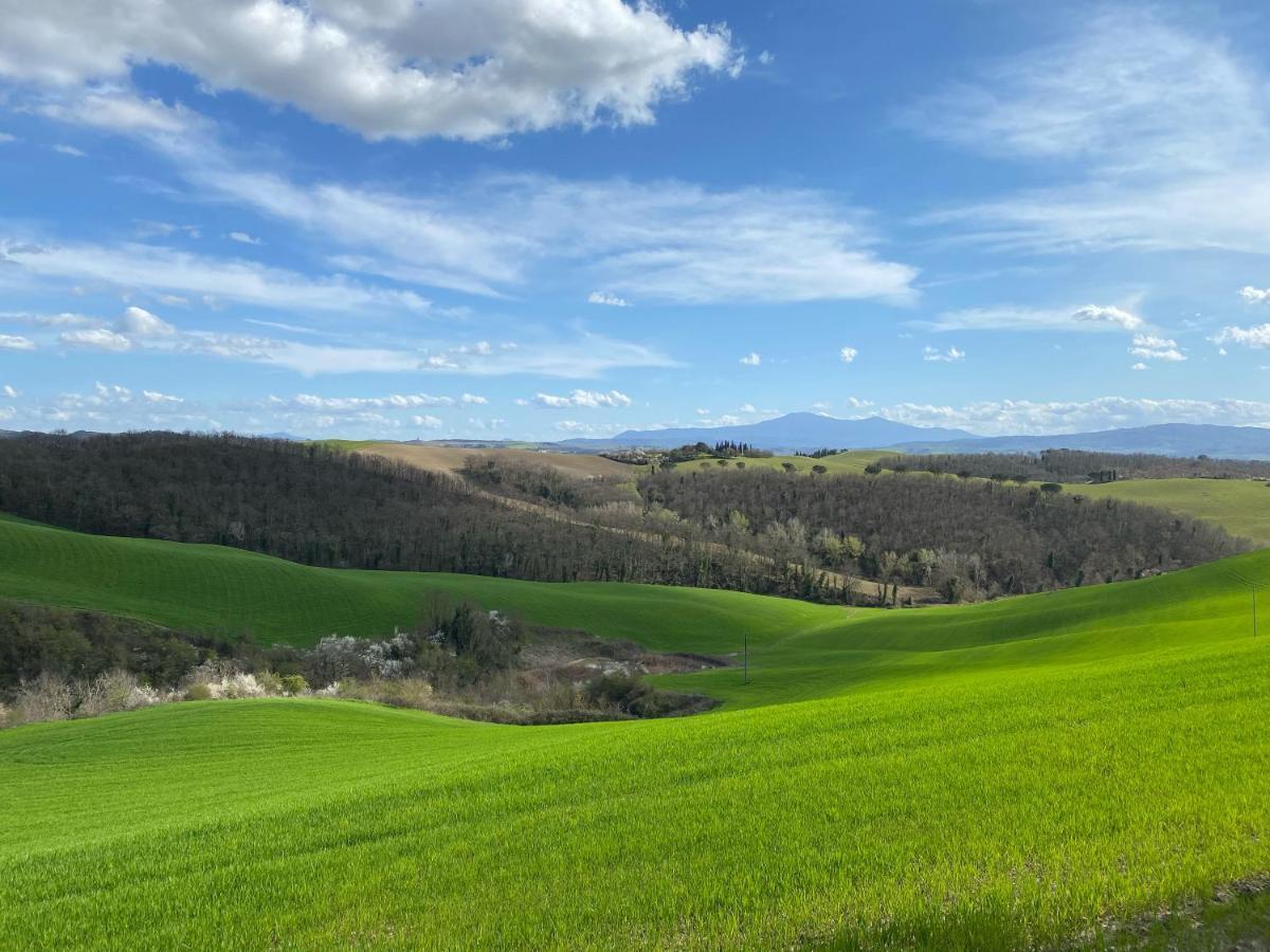Agriturismo Pieve Sprenna Buonconvento Dış mekan fotoğraf