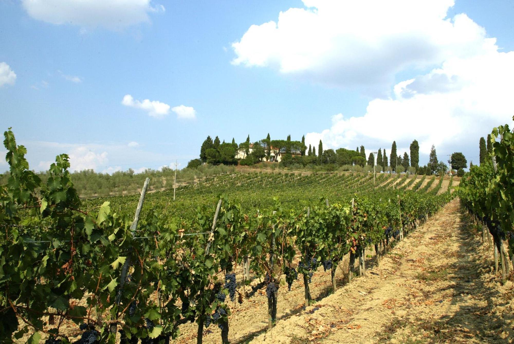 Agriturismo Pieve Sprenna Buonconvento Dış mekan fotoğraf