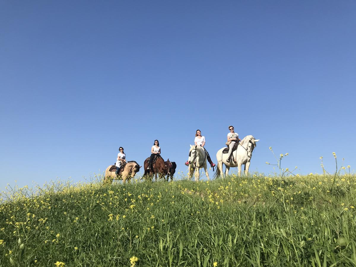 Agriturismo Pieve Sprenna Buonconvento Dış mekan fotoğraf