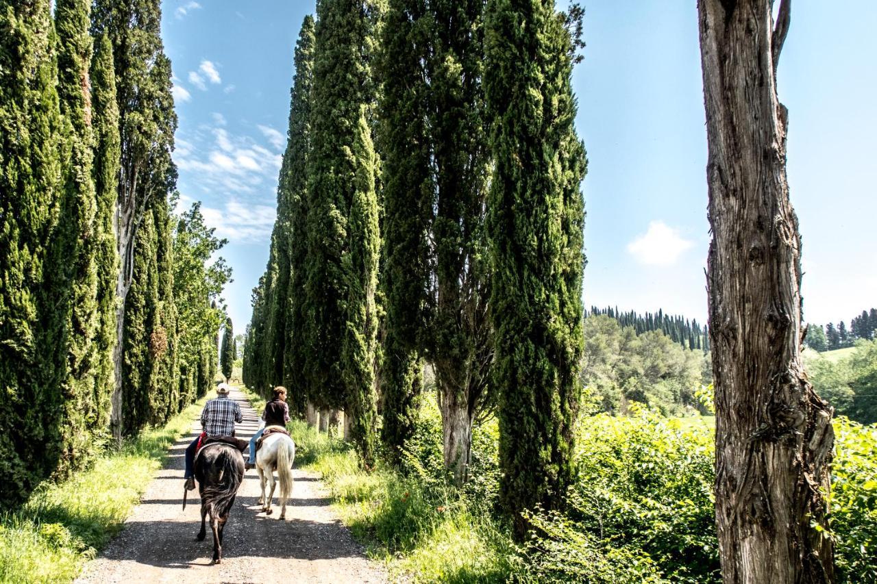 Agriturismo Pieve Sprenna Buonconvento Dış mekan fotoğraf