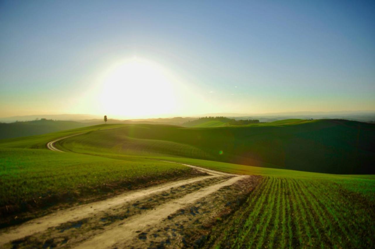 Agriturismo Pieve Sprenna Buonconvento Dış mekan fotoğraf