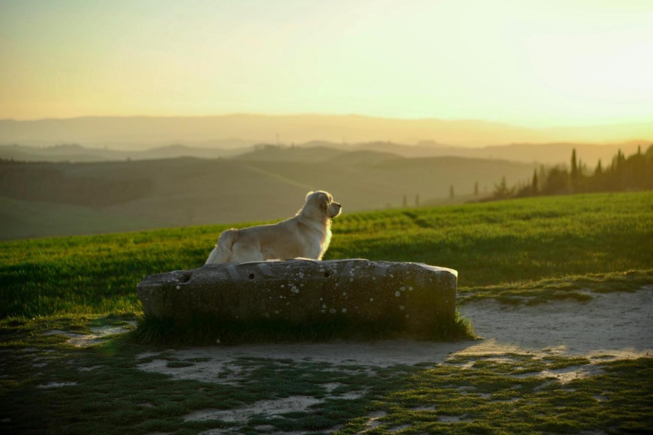 Agriturismo Pieve Sprenna Buonconvento Dış mekan fotoğraf