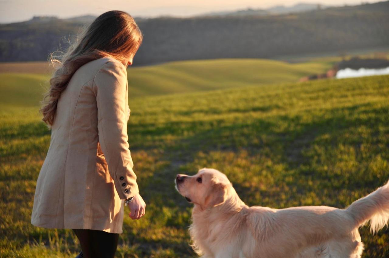 Agriturismo Pieve Sprenna Buonconvento Dış mekan fotoğraf